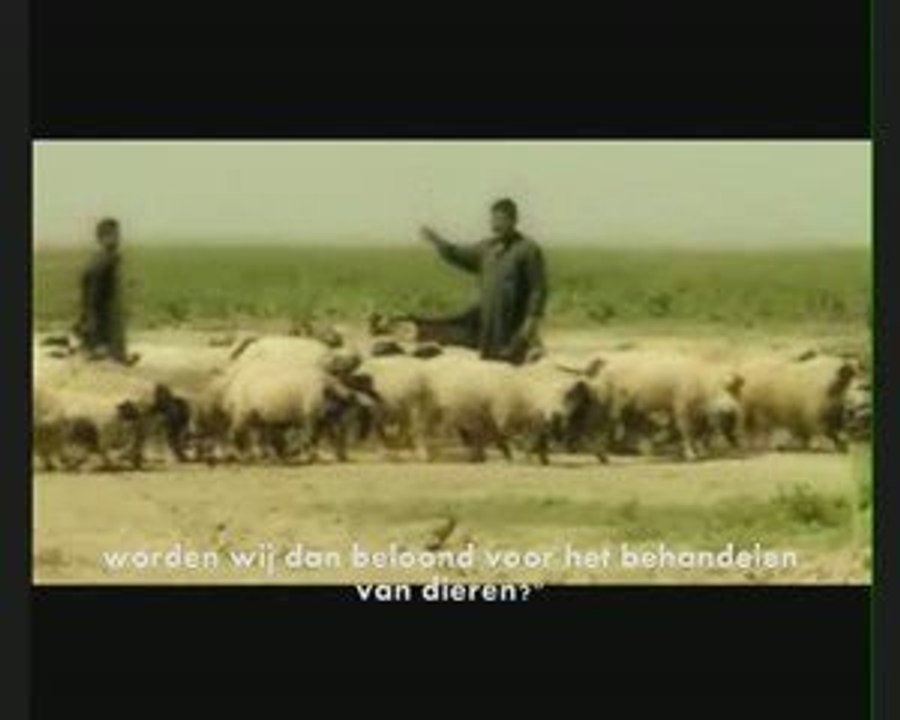 Je wordt voor elk levend schepsel beloond