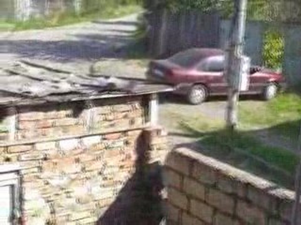 мой двор