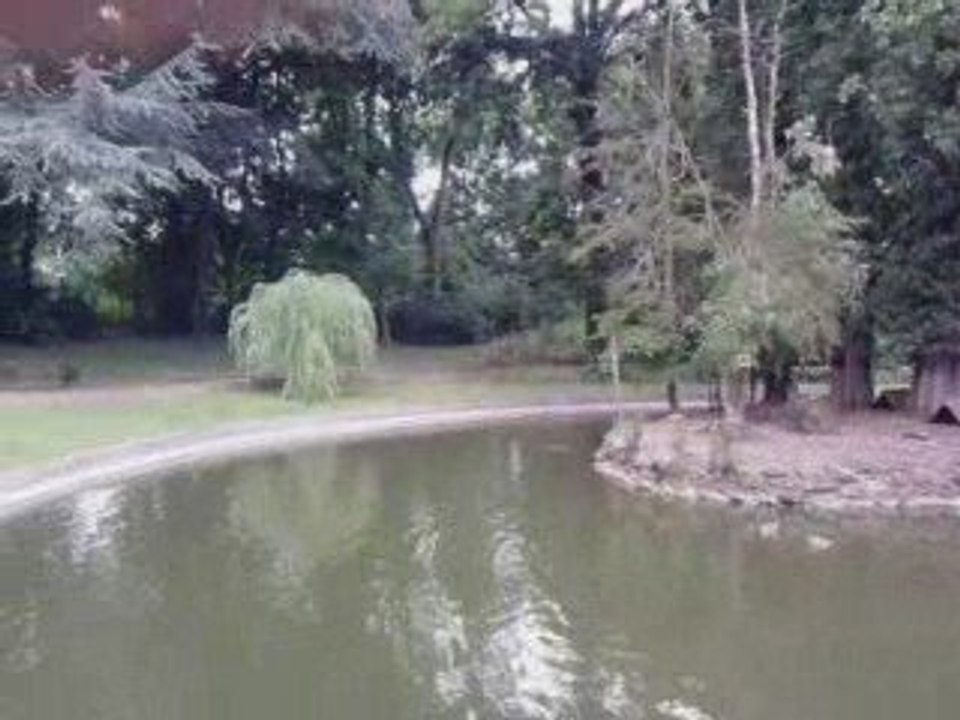 ETANG DU PARC DE BILLY MONTIGNY
