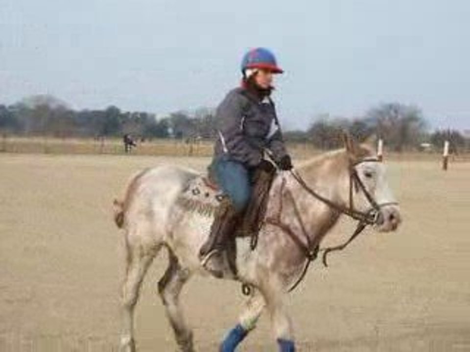 Laurence au galop !!