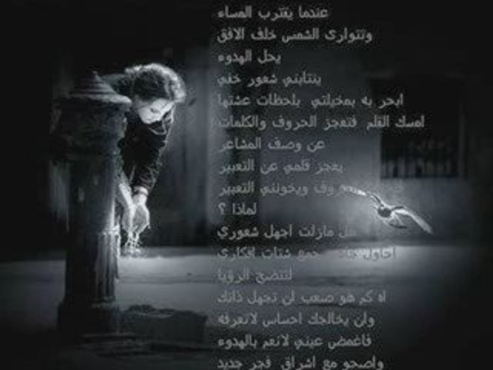 cheb bilal