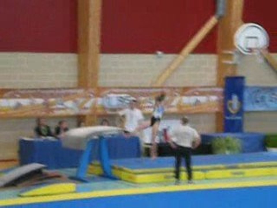 Vidéo gag 2009-Best Of des chutes