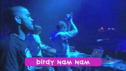 Birdy Nam Nam Eurockéennes Live