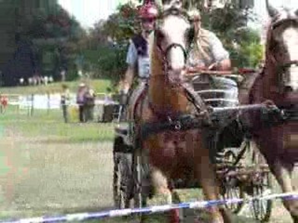 Attelage Reignac 2009