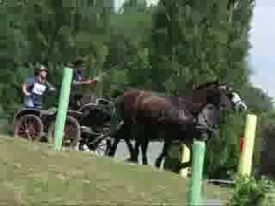 Attelage Reignac 2009