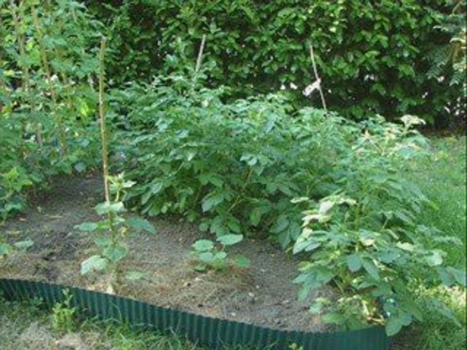 Mon petit jardin_0001