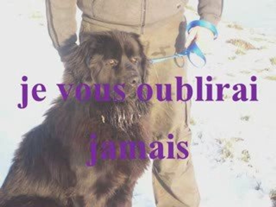 ophelie ramses