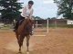 Obstacle galop 3