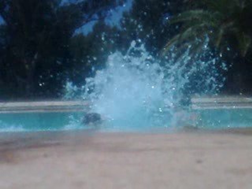 pisine