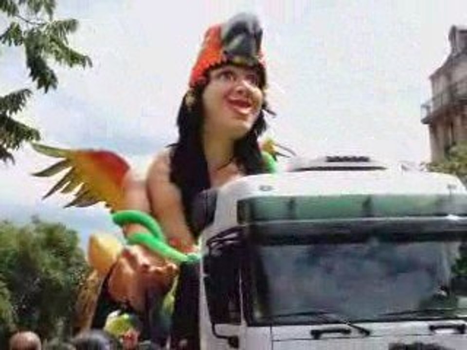 Carnaval Tropical de Paris 6 - 2009