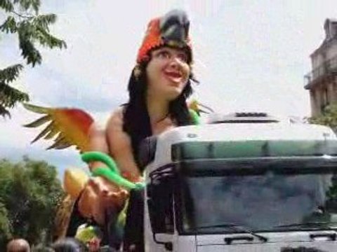 Carnaval Tropical de Paris 6 - 2009