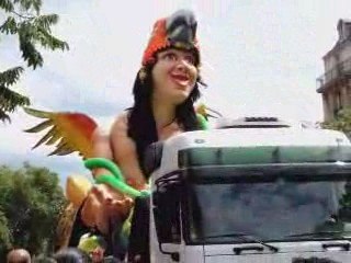 Carnaval Tropical de Paris 6 - 2009