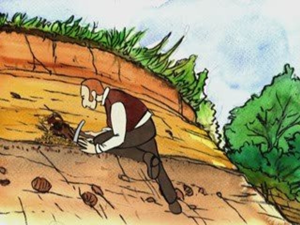 Darwin sur les traces de l'évolution