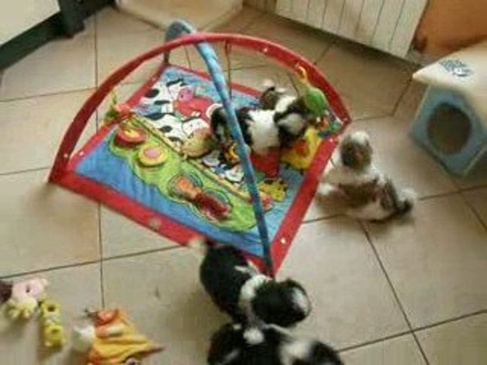bébés 2009