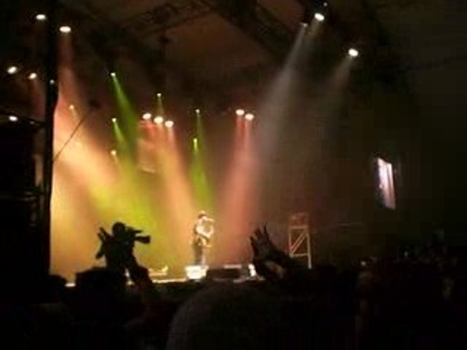 Eurockéennes 2009 Peter Doherty