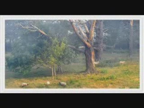 Les Chanteurs , Cheikh Khaled Arachid