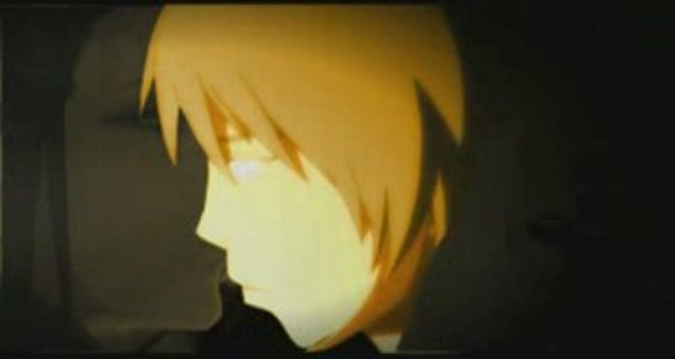 amv foals