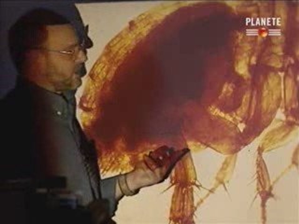 Planète - L'incroyable Catastrophe 1-3