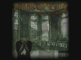 AMADEUS THE STAMPEDE - Company Of Saints