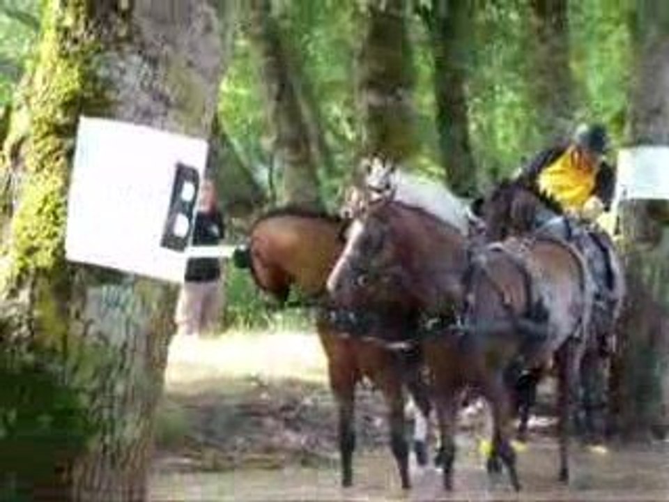 Attelage Reignac 2009