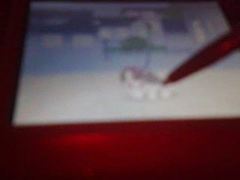 Vidéo Nintendogs comment entrainer sont chiot au concours