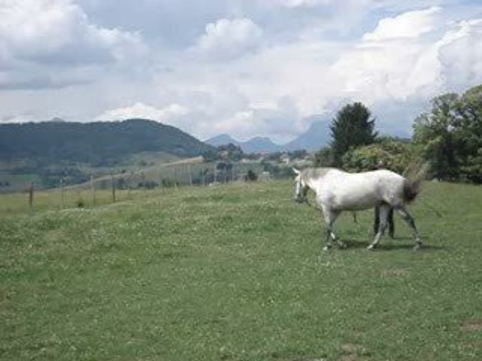 Meije, jeu du cercle