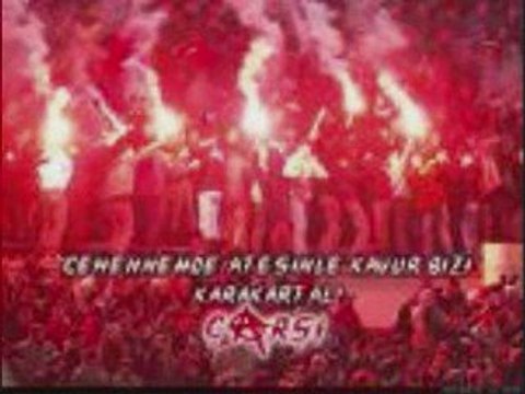 BJK Çarşı Wolverine