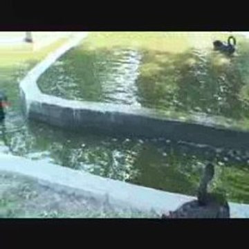 Camping Le Soleil Argeles sur Mer France