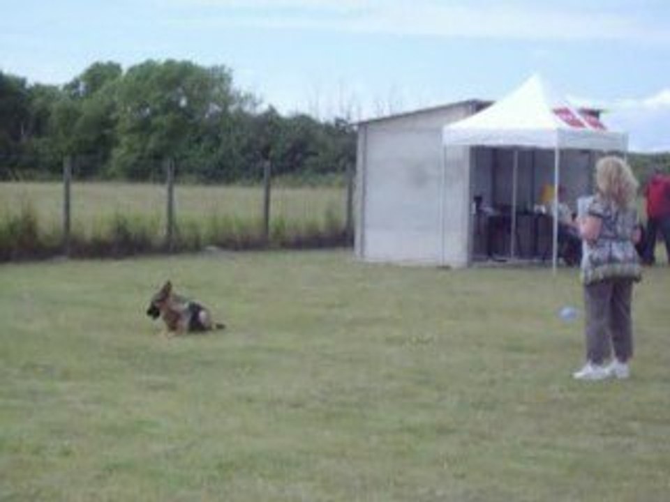 Candy marche au pied avec positions