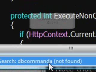 Changing Visual Studio.Net Language Environment