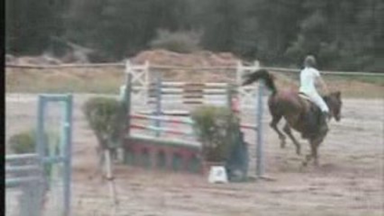 Alizée Idole 105 vitesse St Lu (chasse)