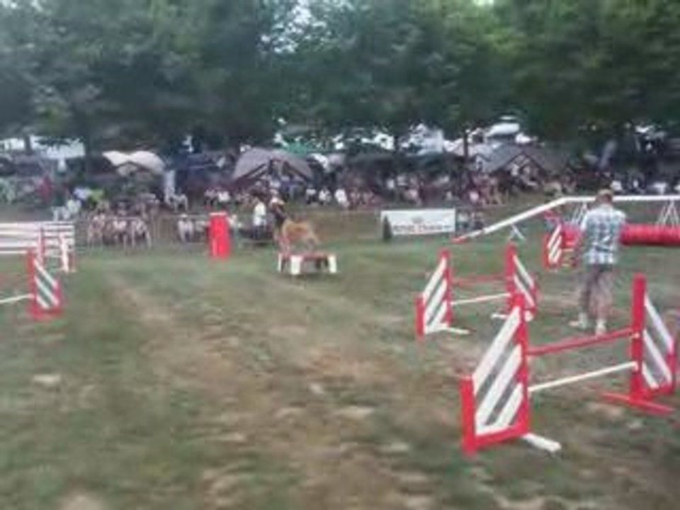 Demo Handy GPF 2009