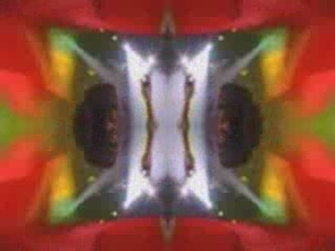 stephen & damian MARLEY all night [live miami]