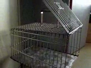 ma cage de transport