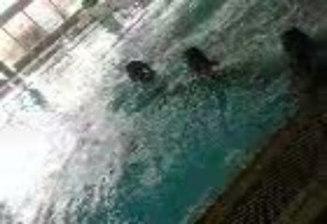 piscine avc eux x)