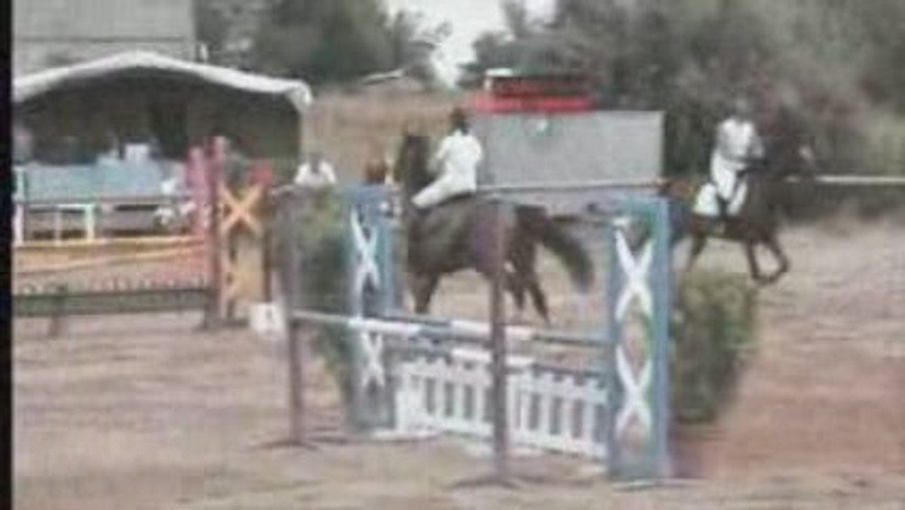 Pauline Polly St Lu 105 vitesse (chasse)