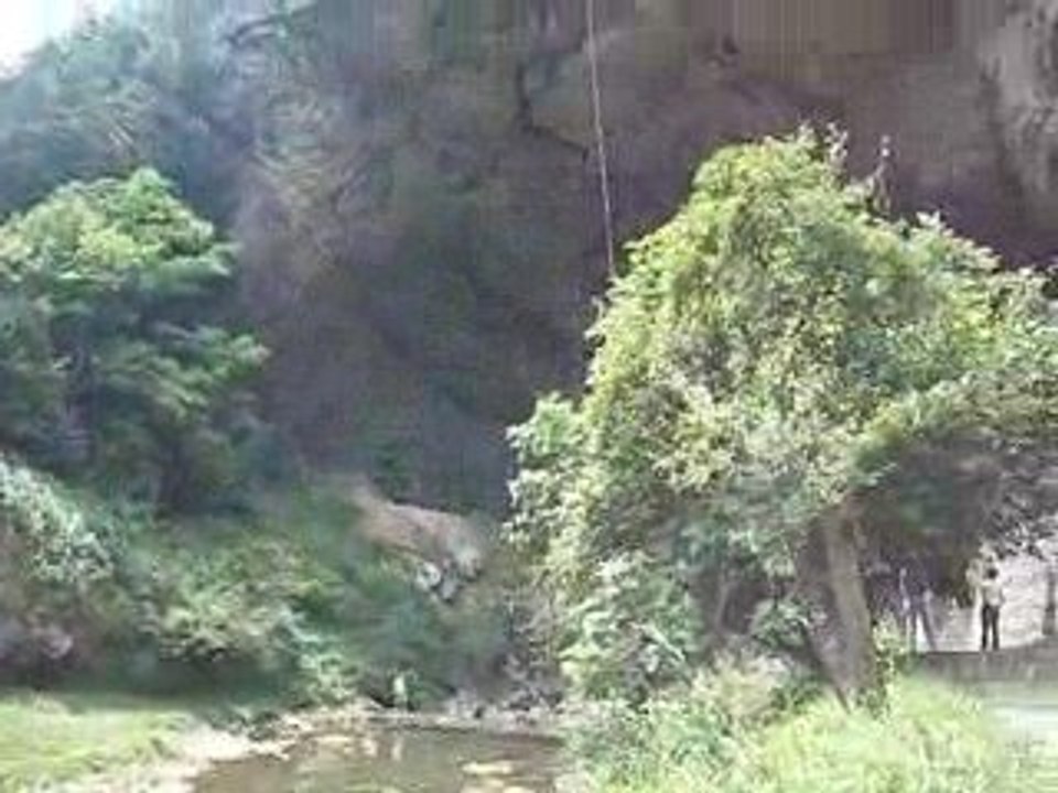 Mon saut Bonzaï!