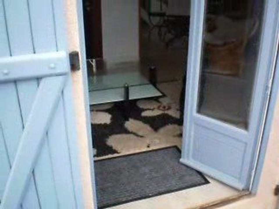 je ne sais pas quoi faire....