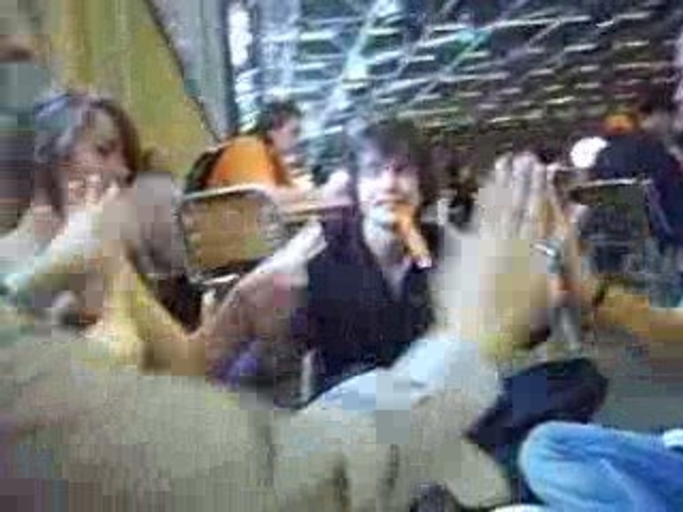 KFiens 3 petits chats