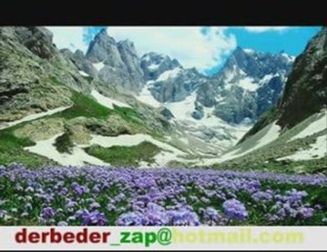 m.arif ciziri fehima derbeder_zap tan