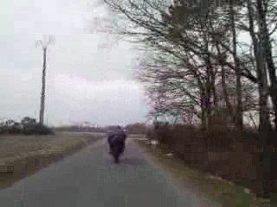 TZR KIT 50 TOP PERF 115KM/H