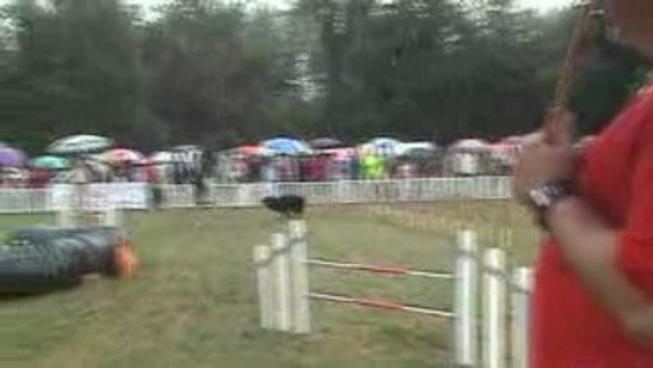 GPF jump 2 cibeins 2009
