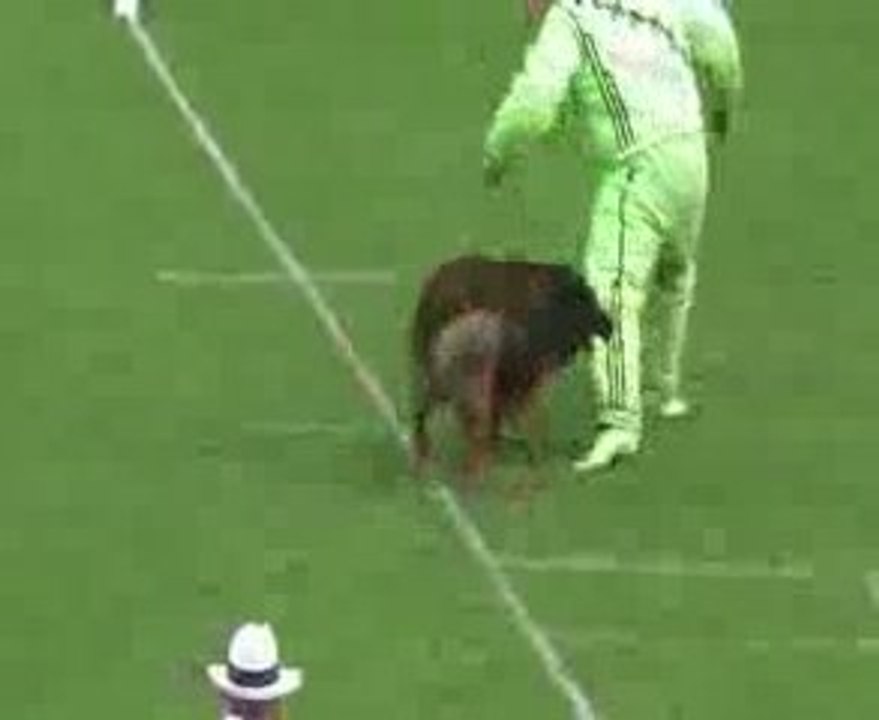 Virus Du Musher Championat Brive 2009