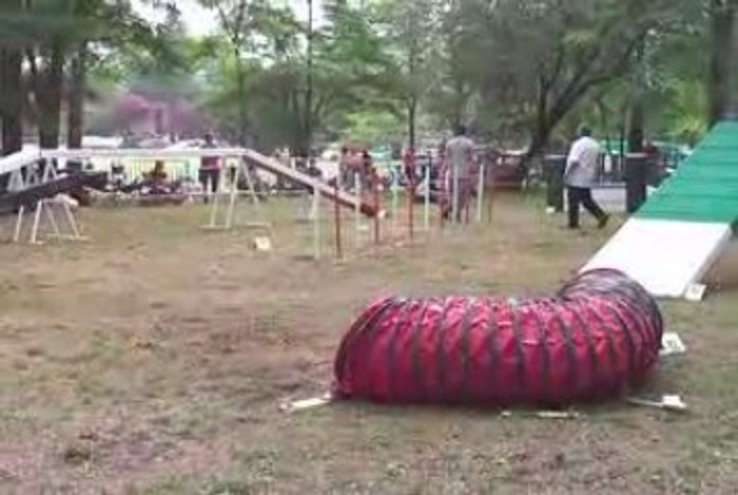 Woofie Open Auterive 050709