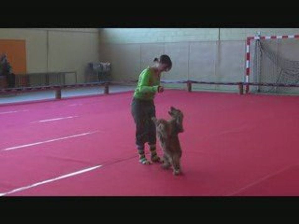 toupy 2e passage