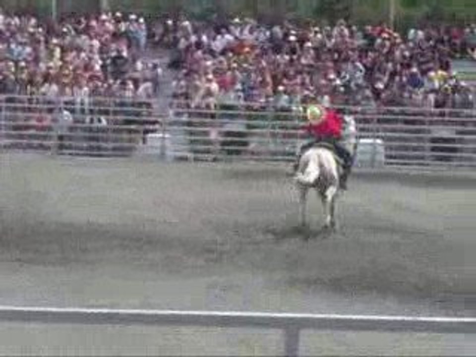 compétitions de Barrel et de Roping