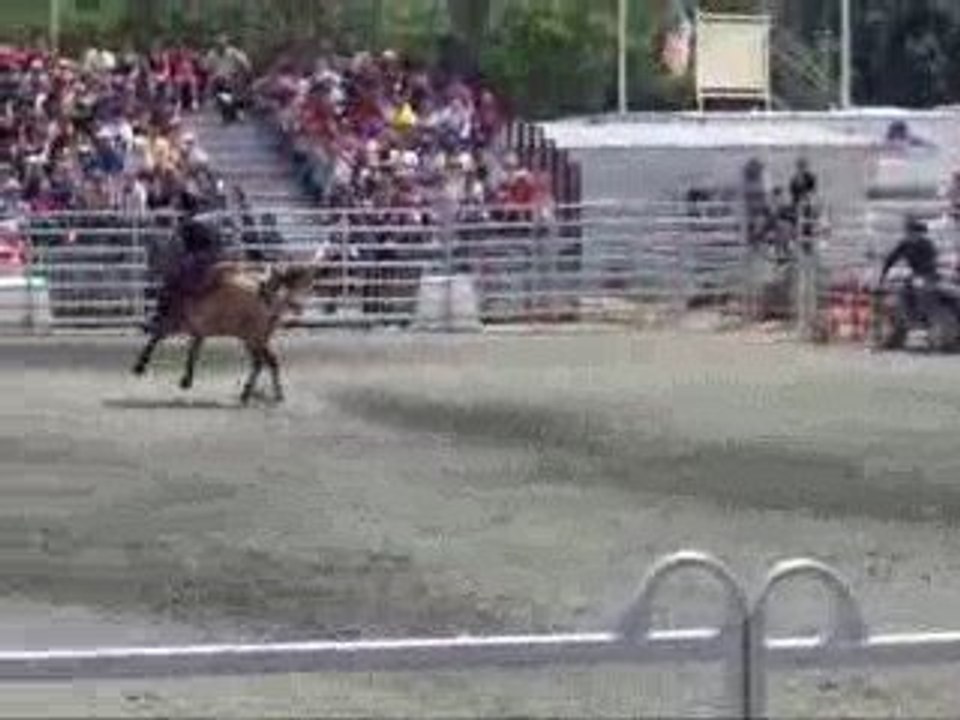 compétitions de Barrel et de Roping