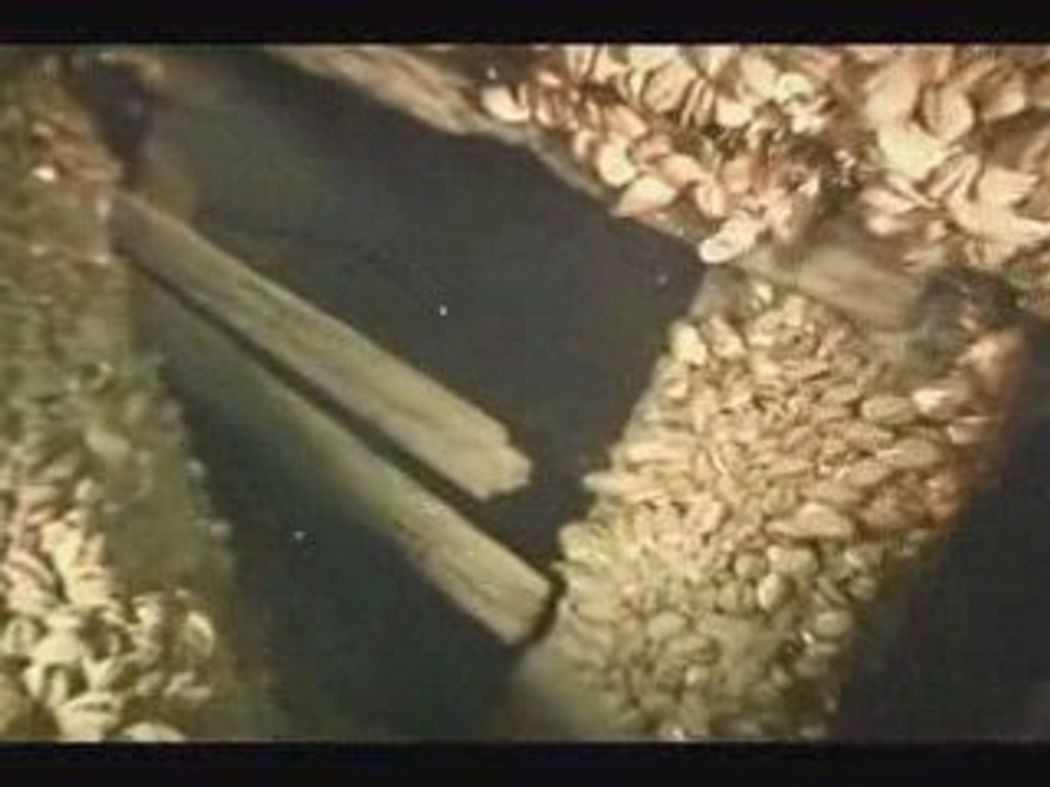 Scuba Diving the "Dean Richmond" Wreck by Dip 'N Dive