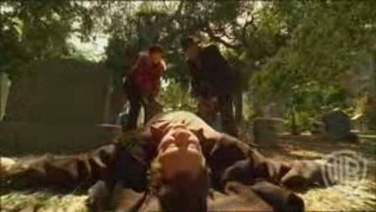 Pushing Daisies – Season 2 – Never Happened