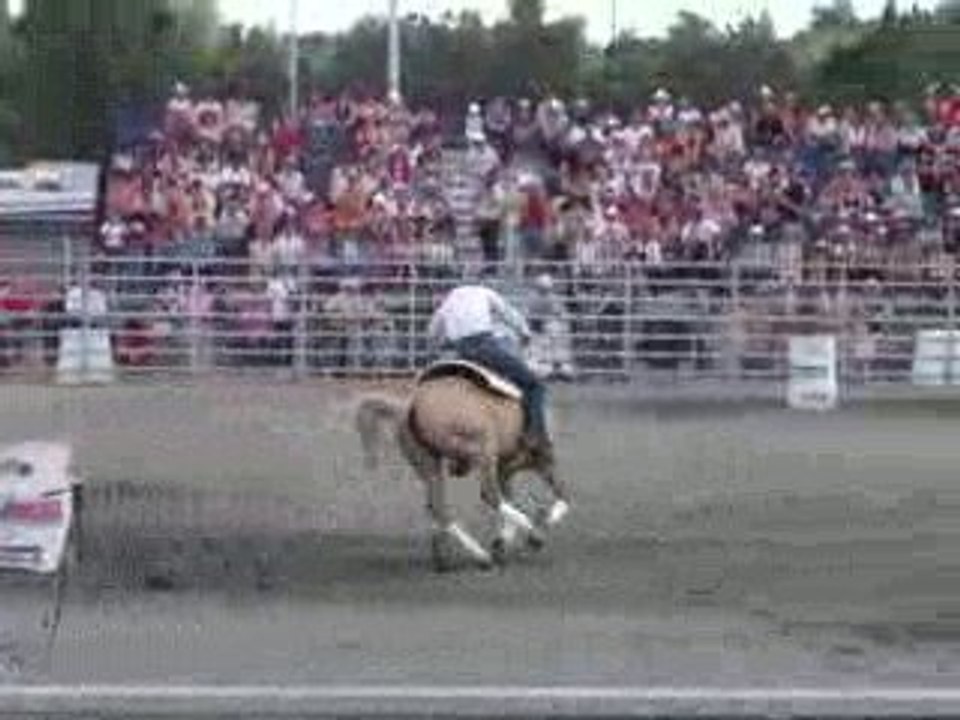 compétitions de Barrel et de Roping